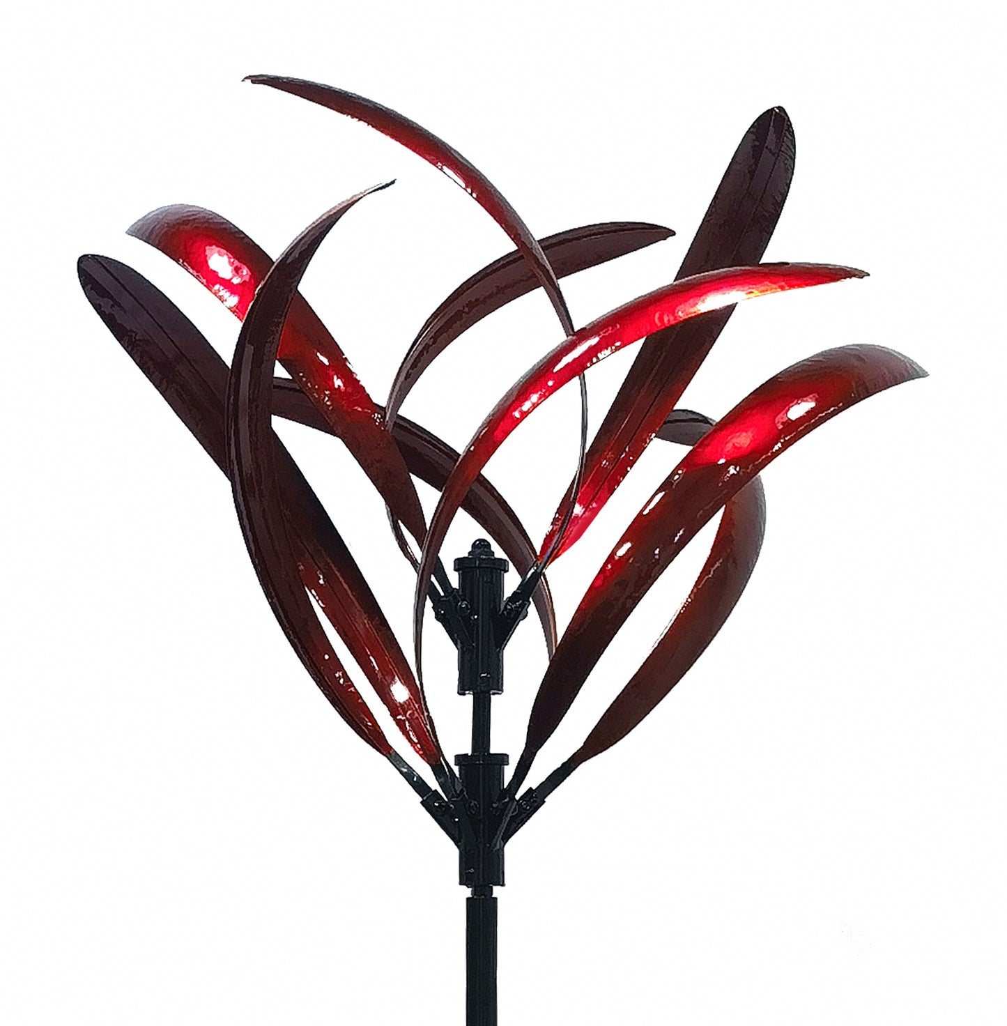 GREVILLEA WINDSPINNER RUBY RED
