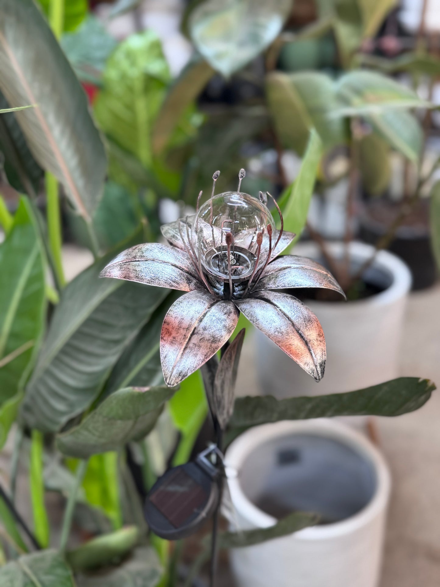 Lily Solar Light
