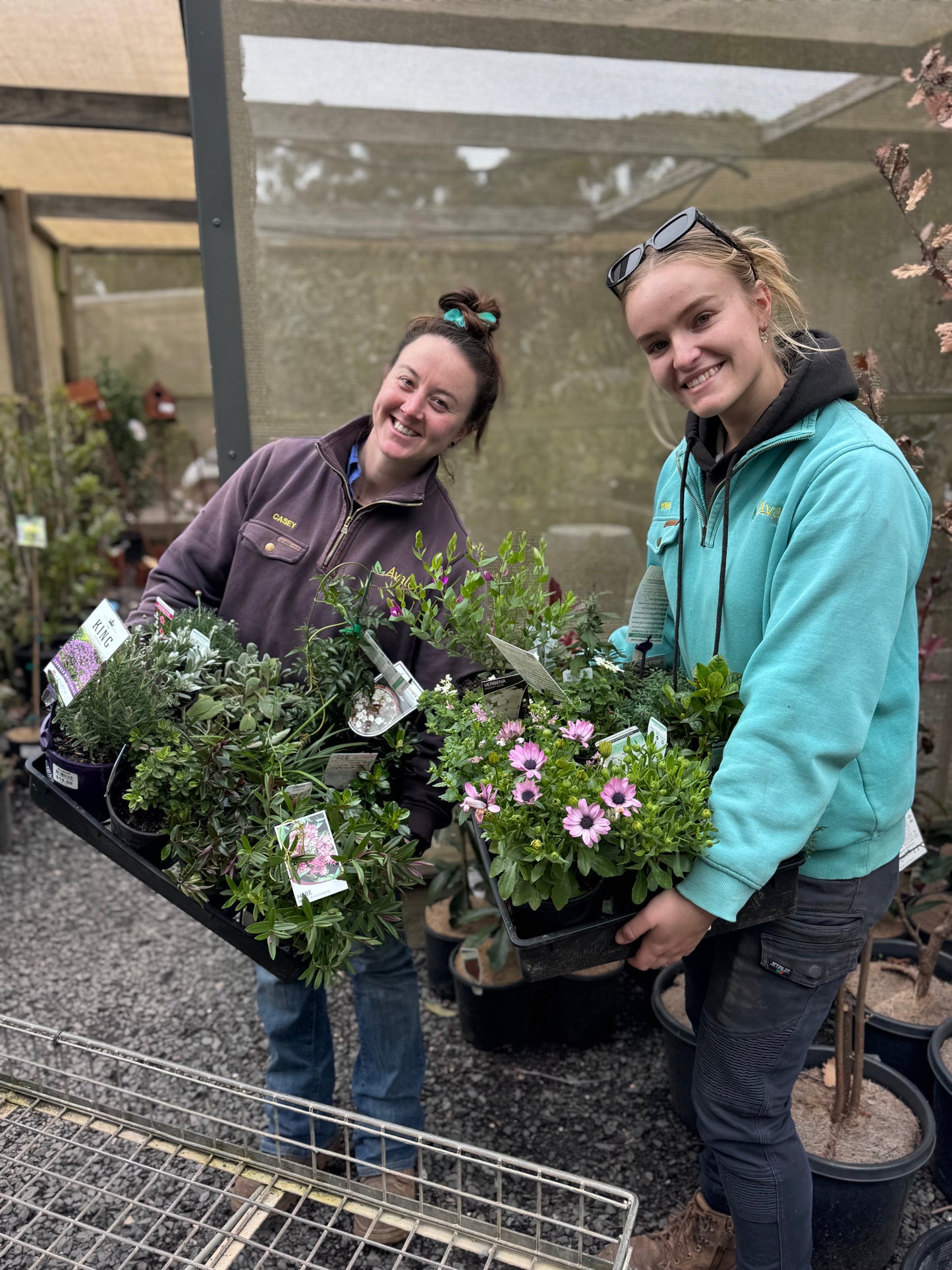 Cottage Plants Bundle