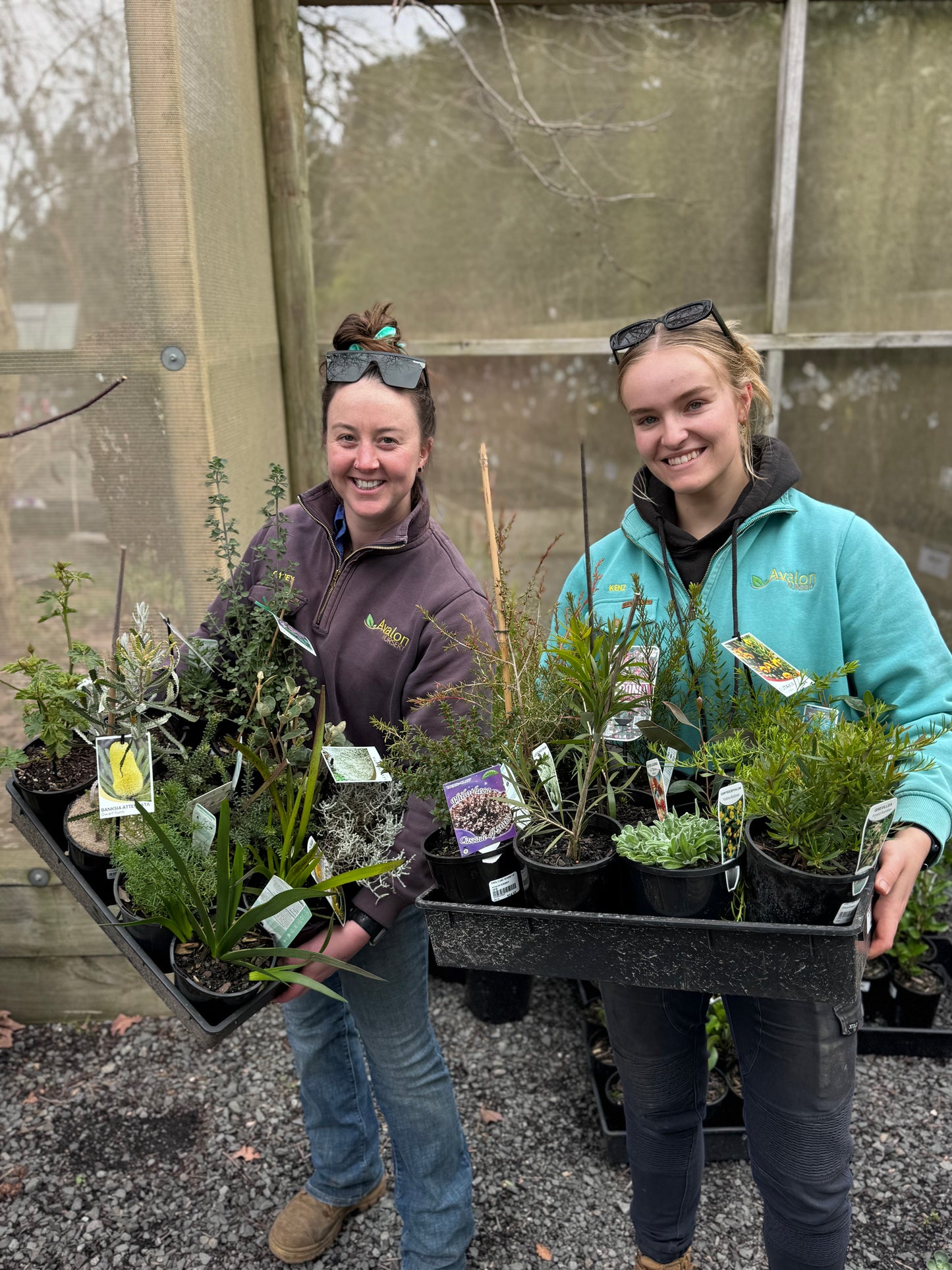 Native Plant Bundle
