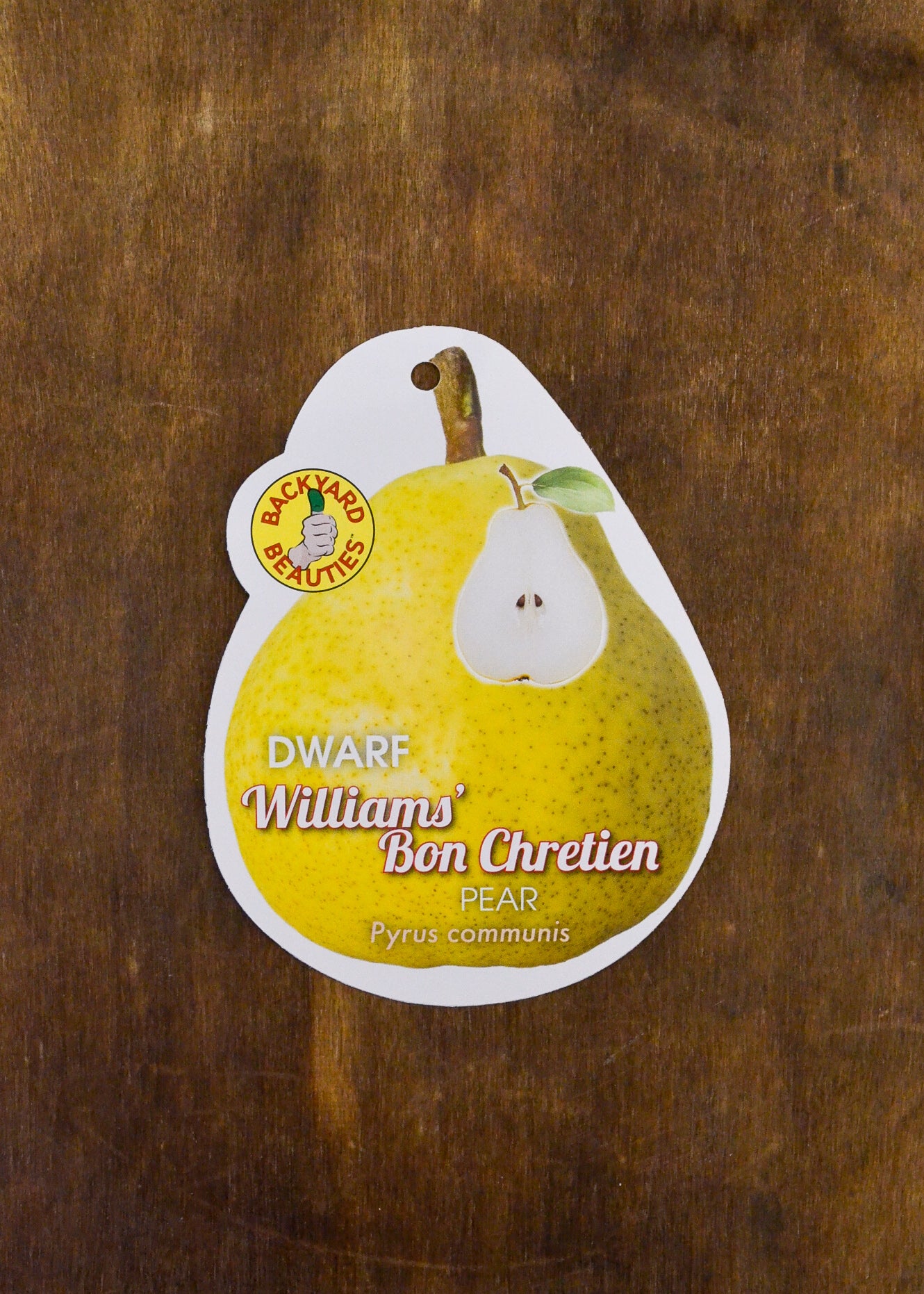 DWARF PEAR WILLIAMS BON CHRETIEN BR