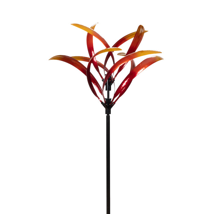 GREVILLEA WINDSPINNER FLAME