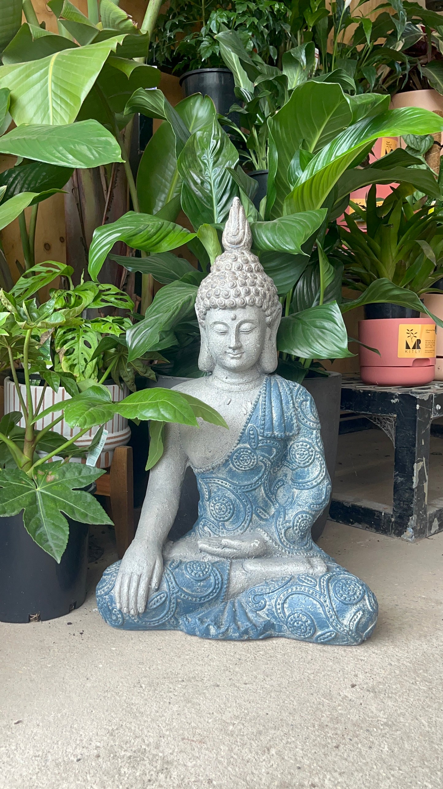 BUDDHA MEDITATING