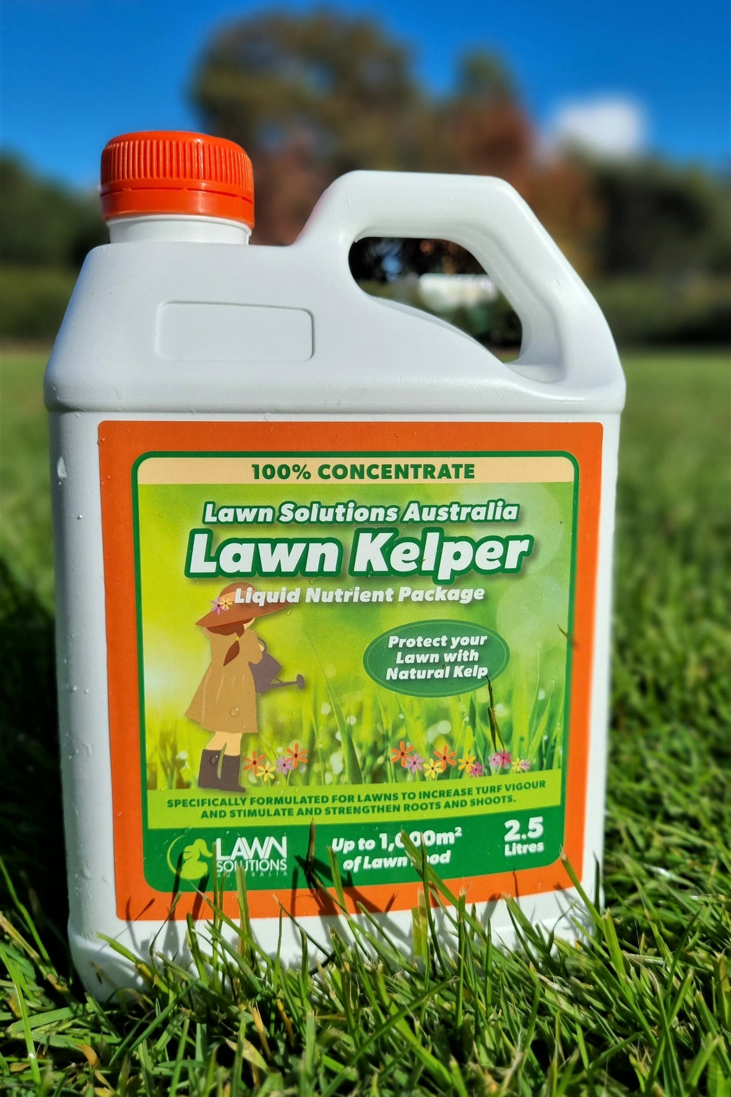 LAWN SOLUTIONS LAWN KELPER 2.5LT CONCENTRATE