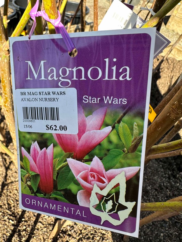 MAGNOLIA STAR WARS BR