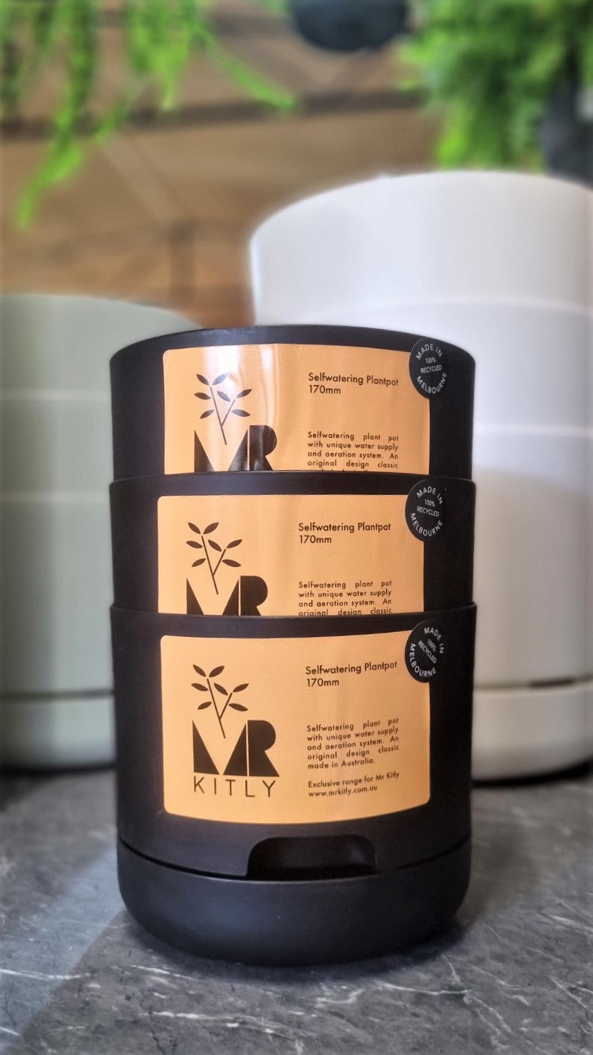 MR KITLY SELFWATERING POT 170MM RECYCLED BLACK