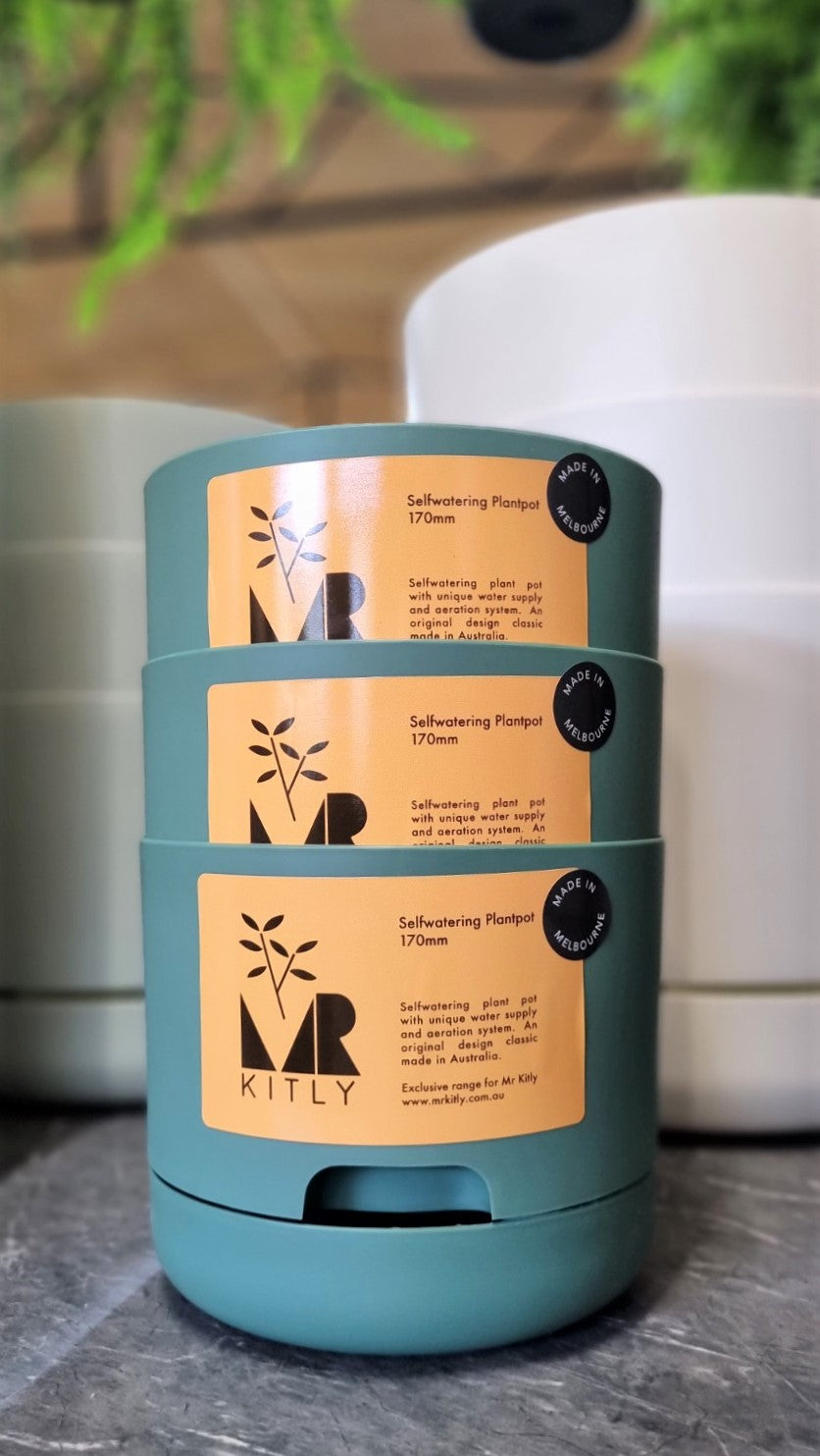 MR KITLY SELFWATERING POT 170MM DARK MOSS