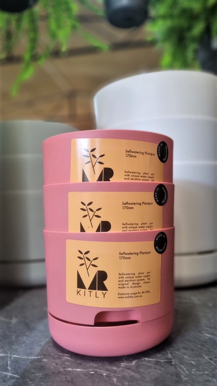 MR KITLY SELFWATERING POT 170MM PERSIMMON