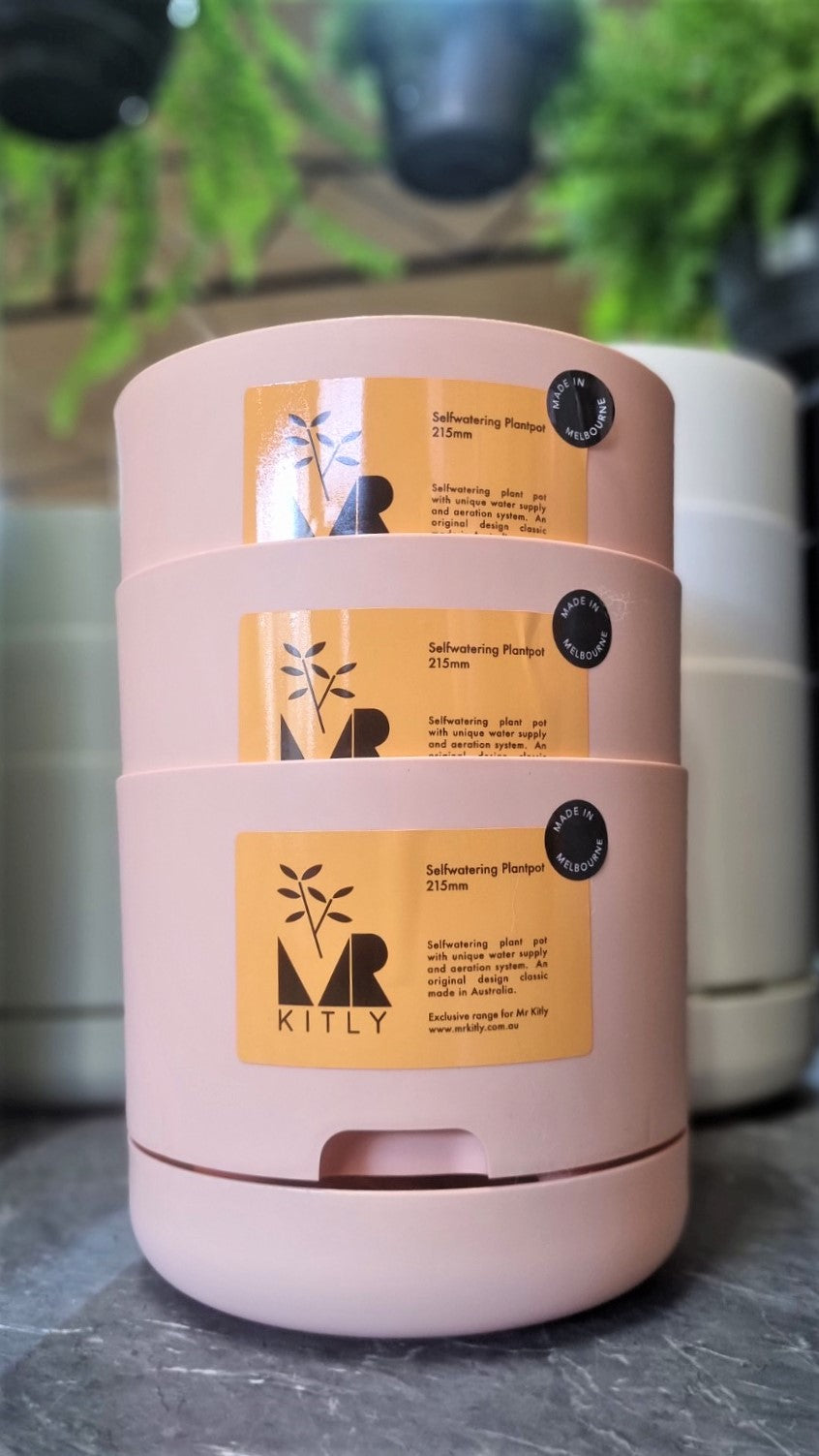 MR KITLY SELFWATERING POT 215MM PALE APRICOT