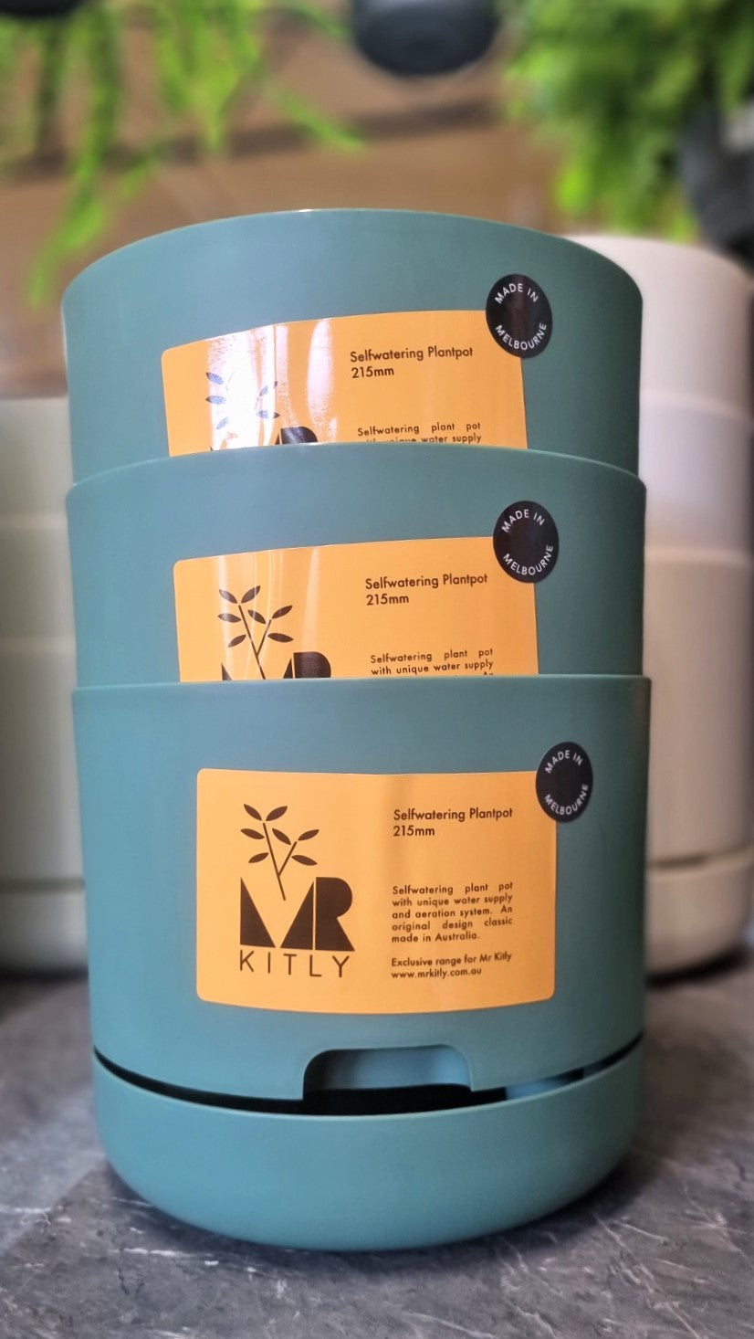 MR KITLY SELFWATERING POT 215MM DARK MOSS