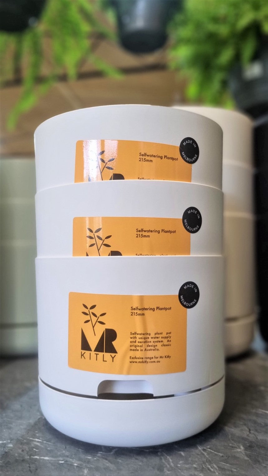 MR KITLY SELFWATERING POT 215MM WHITE