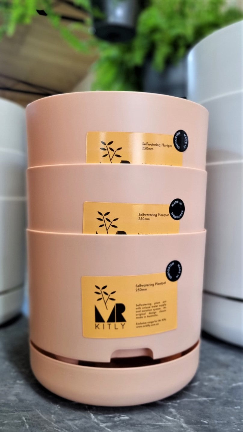 MR KITLY SELFWATERING POT 250MM APRICOT