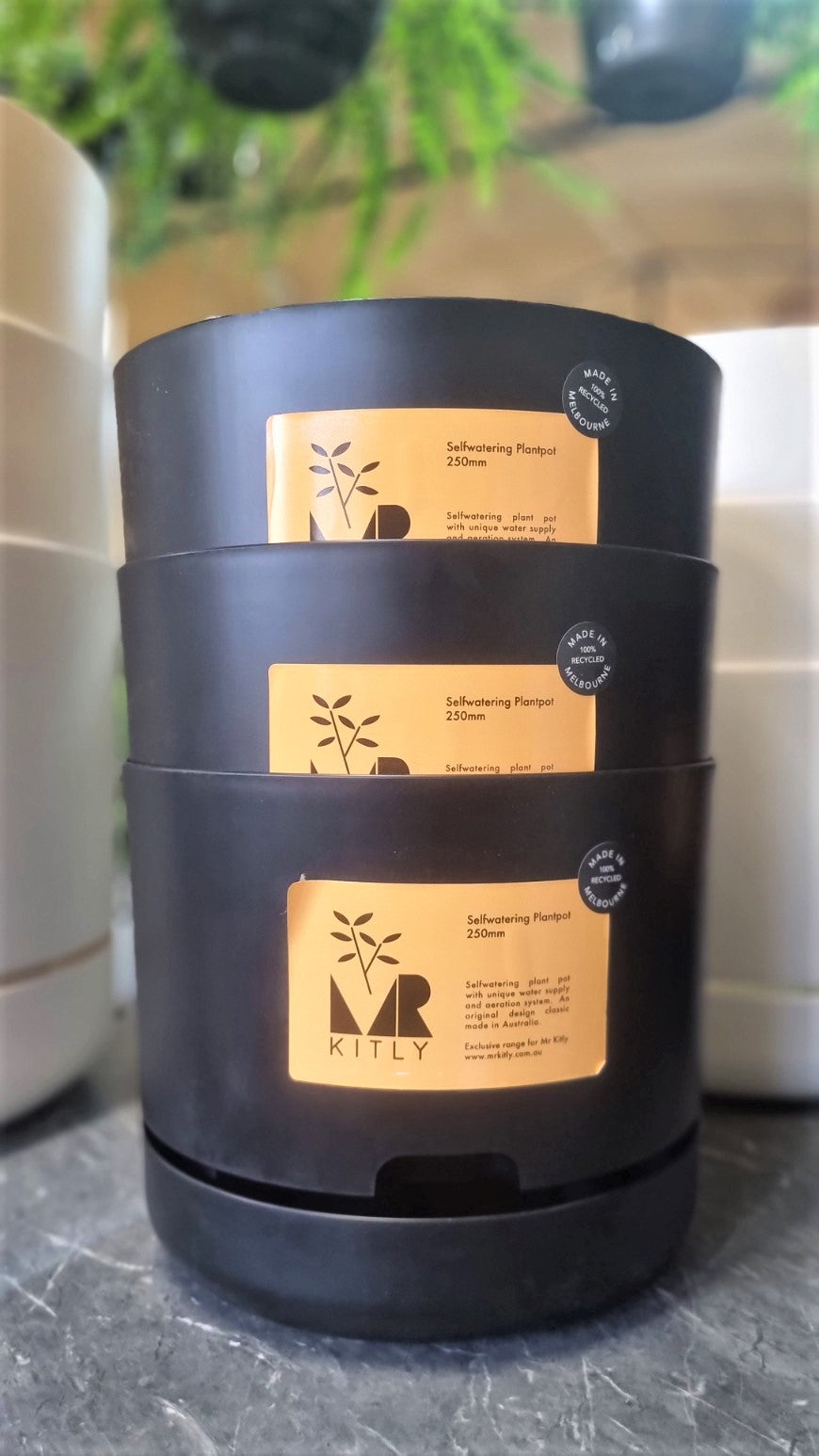MR KITLY SELFWATERING POT 250MM BLACK