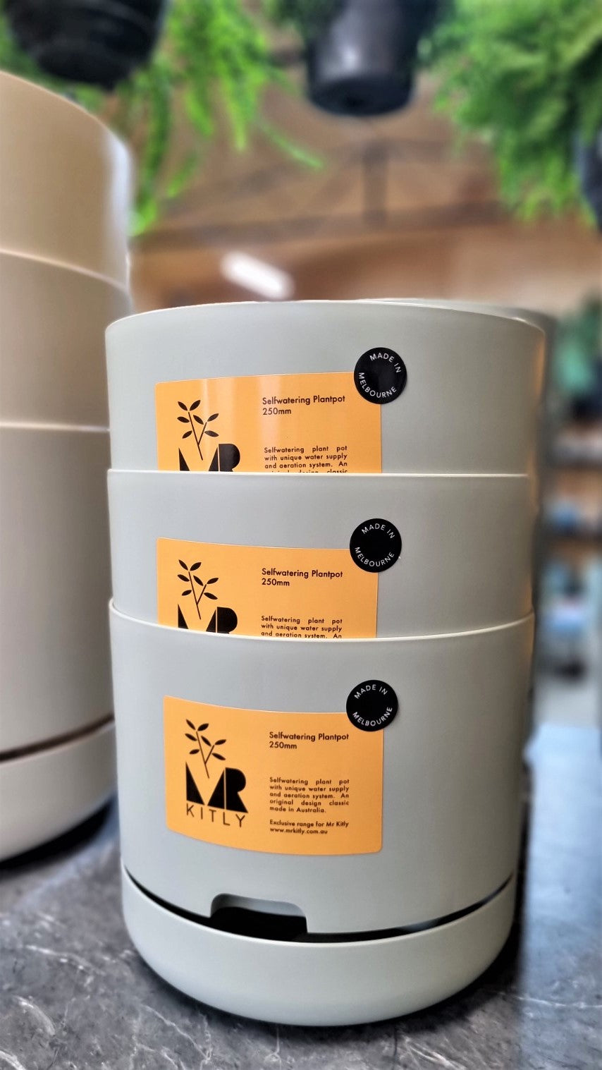 MR KITLY SELFWATERING POT 250MM FOG