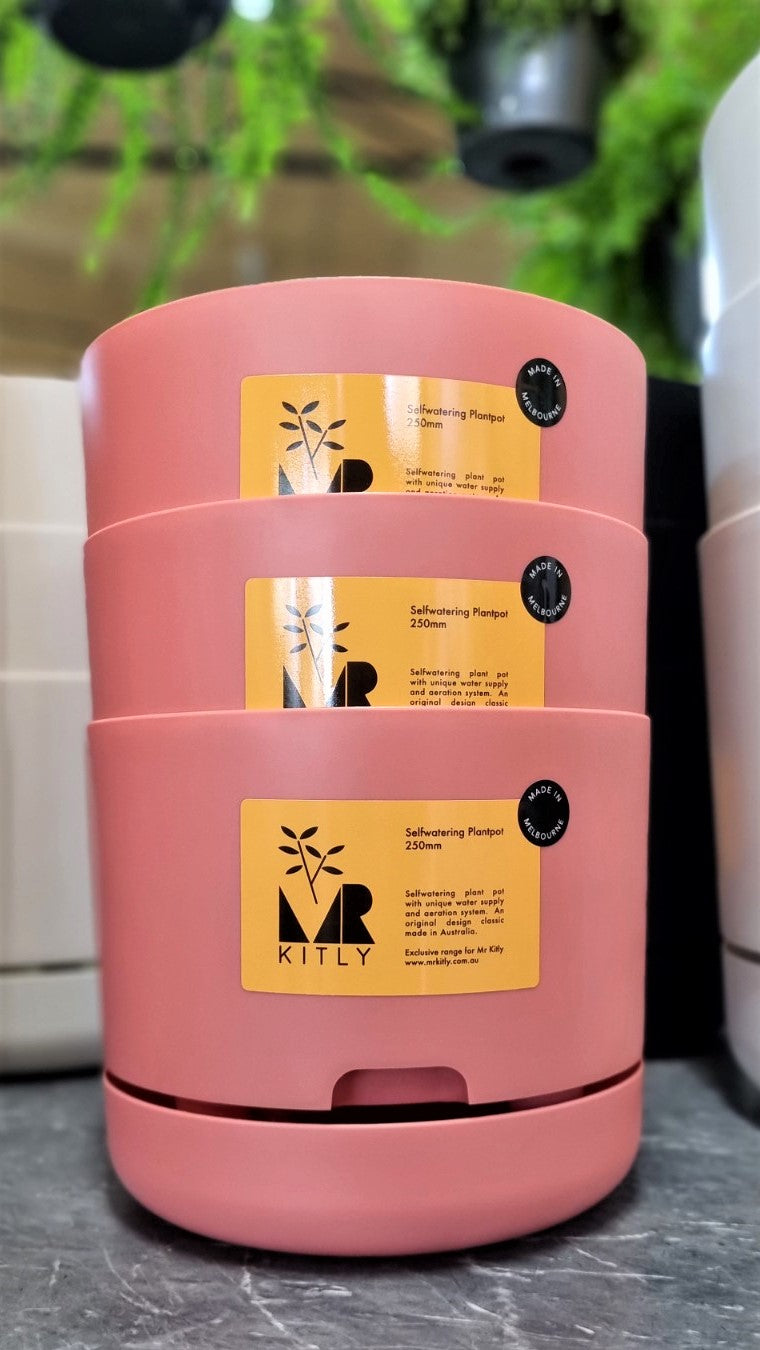 MR KITLY SELFWATERING POT 250MM PERSIMMON