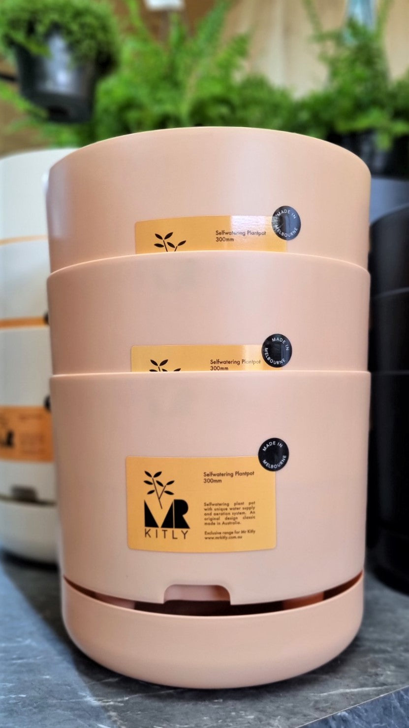 MR KITLY SELFWATERING POT 300MM APRICOT