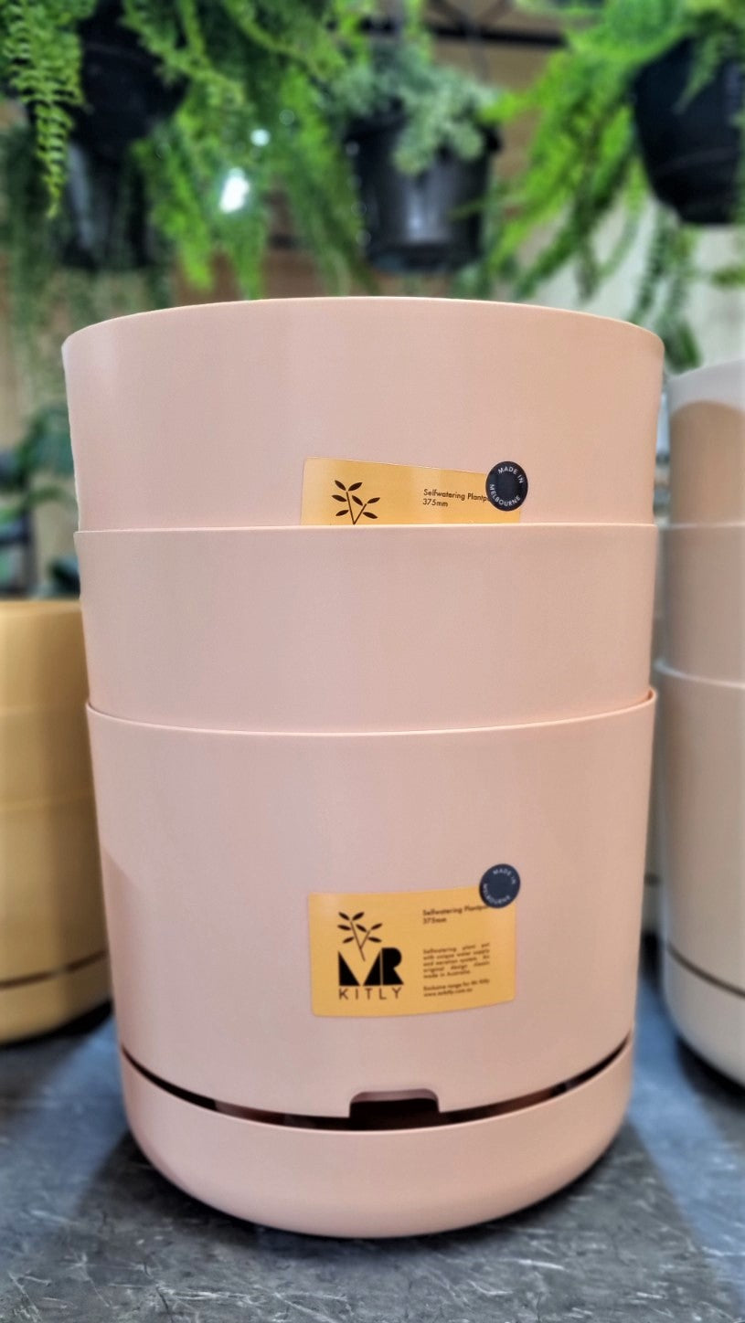 MR KITLY SELFWATERING POT 375MM APRICOT