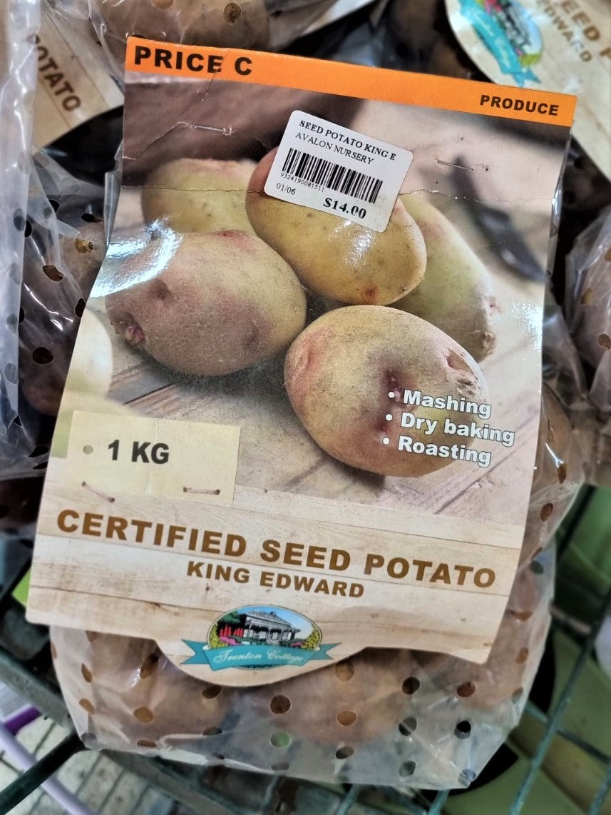 SEED POTATO KING EDWARD 1KG