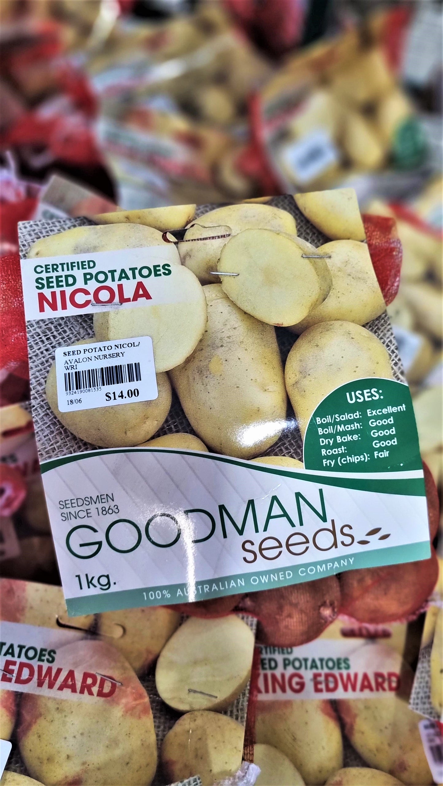 SEED POTATO NICOLA 1KG