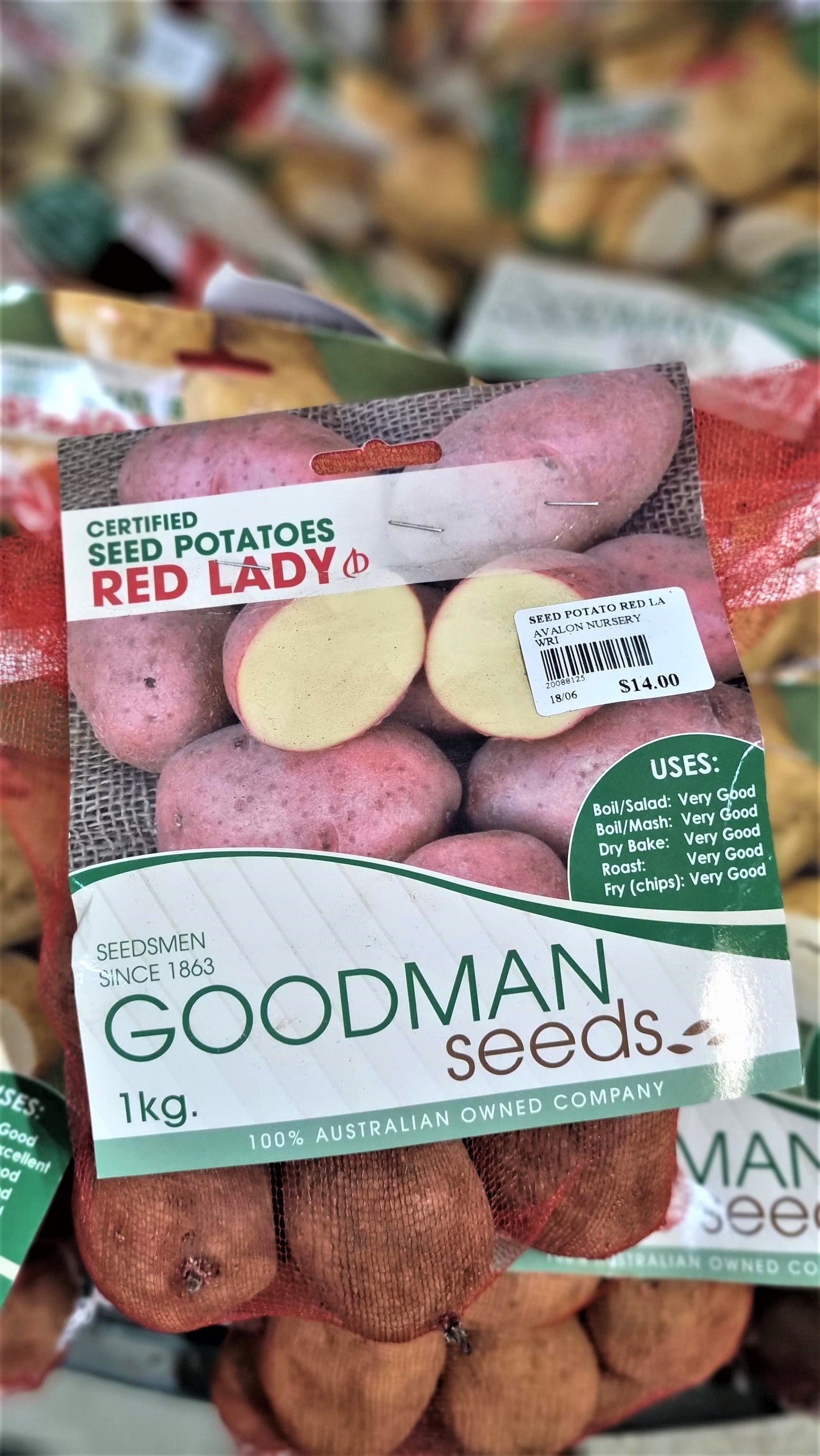 SEED POTATO RED LADY 1KG