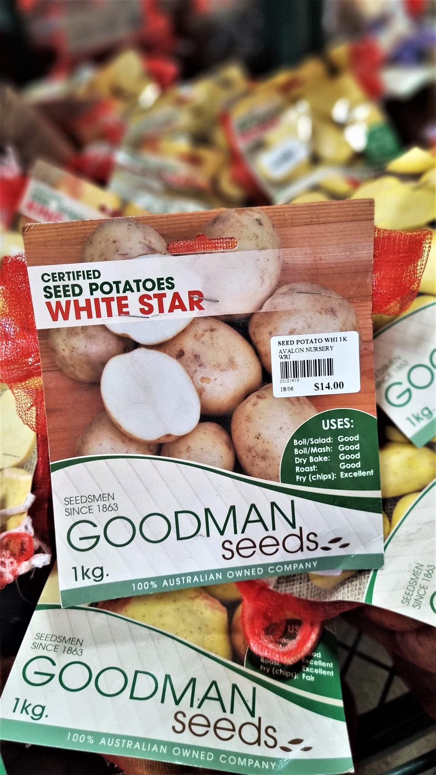 SEED POTATO WHITE STAR 1KG BAG