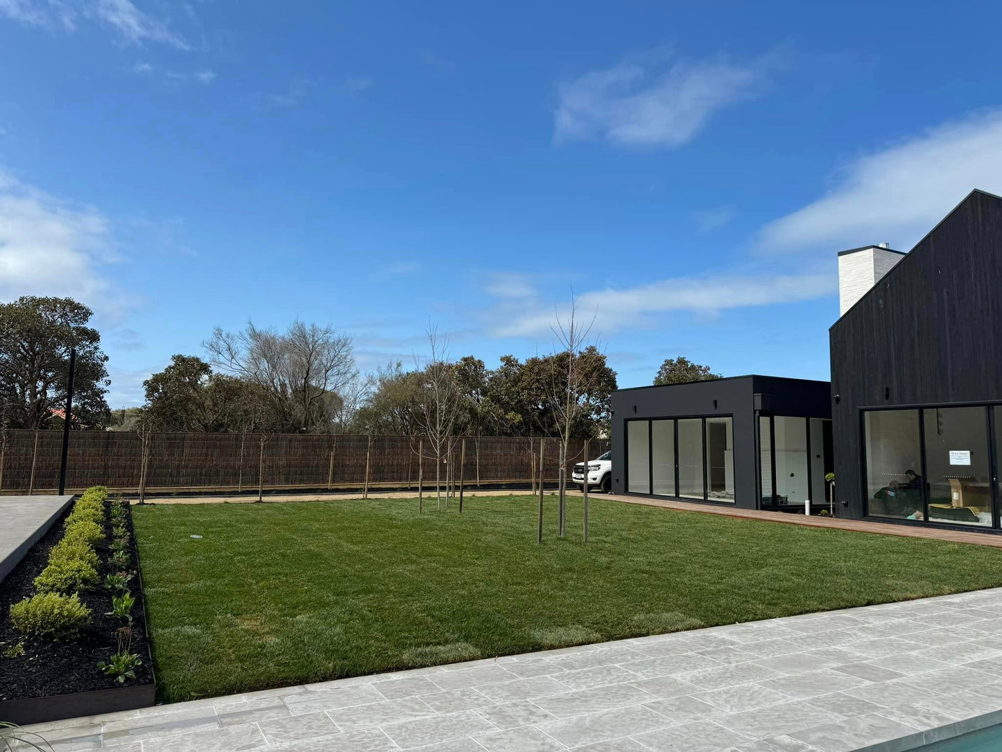 Tall Fescue 1sqm