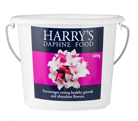 HARRY'S DAPHNE FOOD 600G