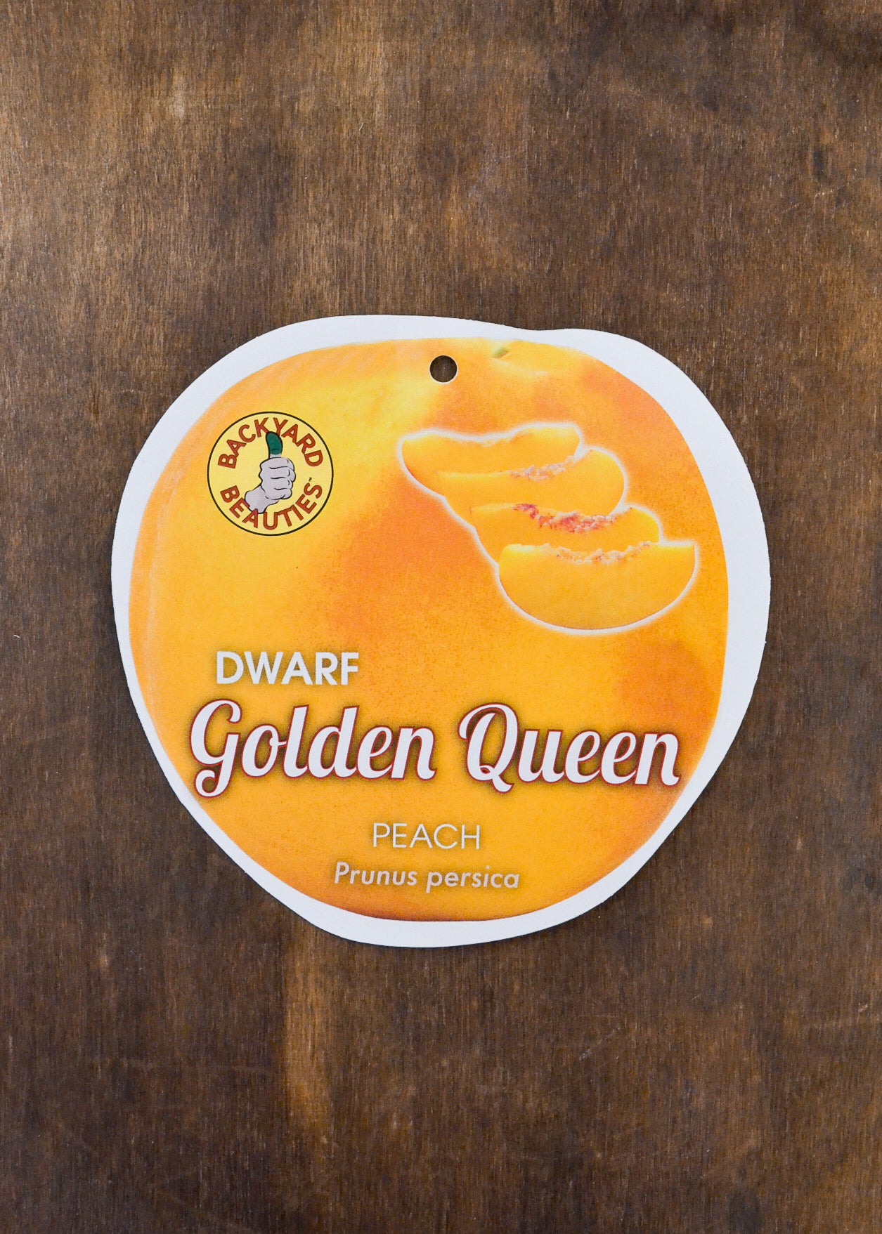 DWARF PEACH GOLDEN QUEEN BR