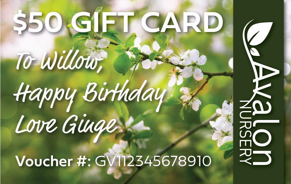 $50 AVALON NURSERY GIFT VOUCHER