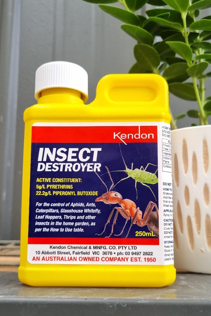 INSECT DESTROYER PYRETHRUM 250ML