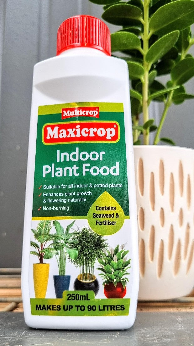 MAXICROP INDOOR FOOD 250ML