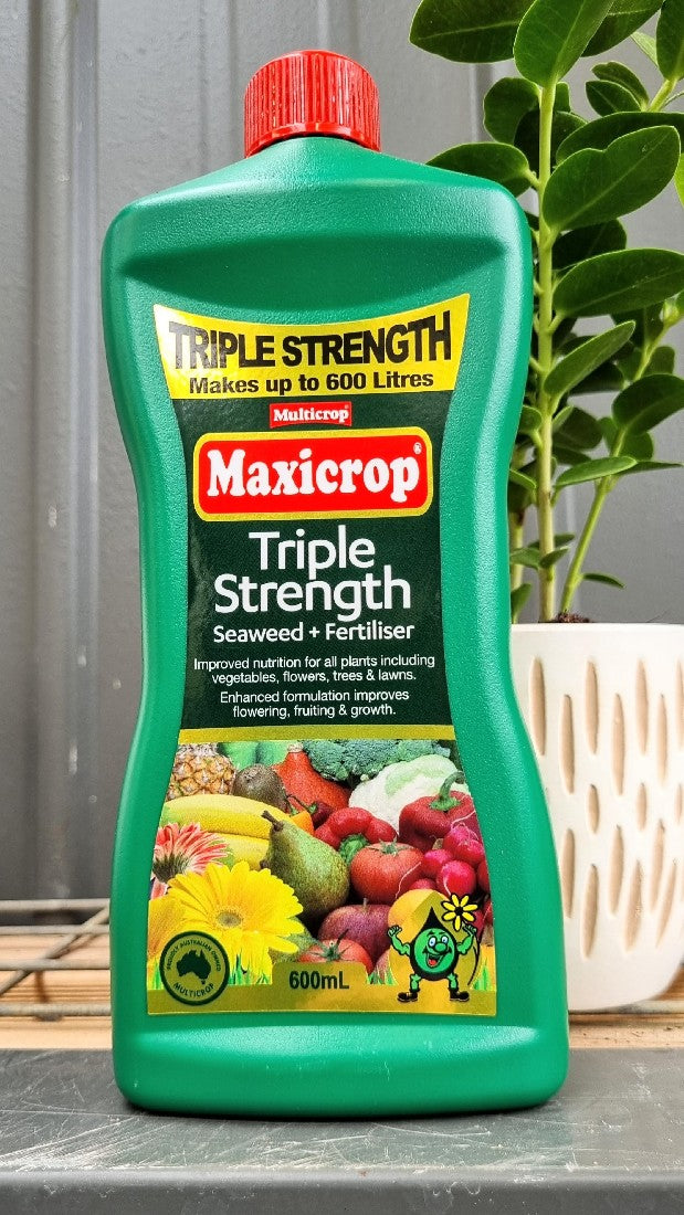 MAXICROP TRIPLE STRENGTH SEAWEED & FERTILISER CONCENTRATE 600ML
