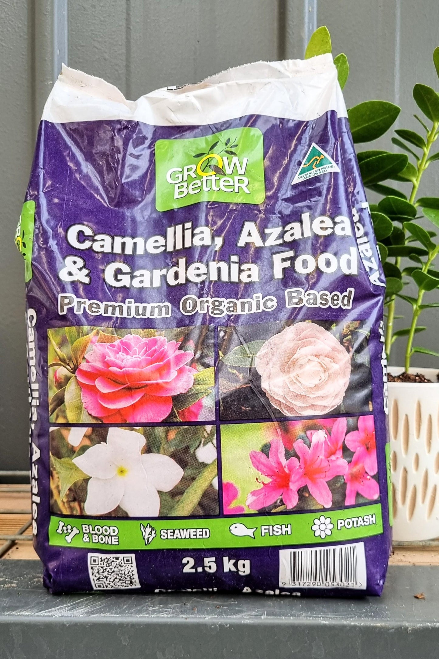 CAMELLIA, AZALEA AND GARDENIA FOOD 2.5KG