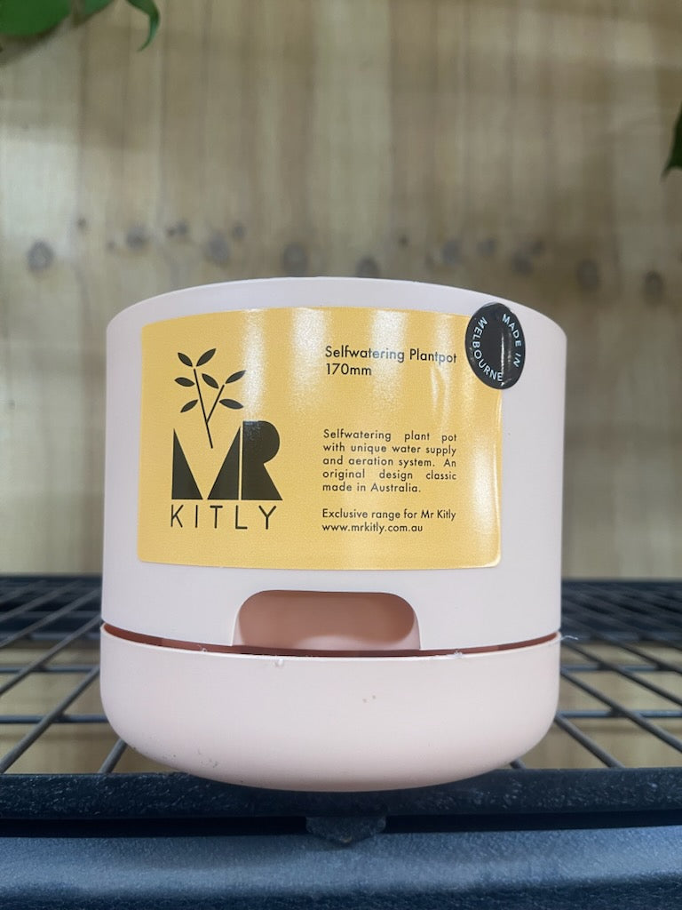 MR KITLY SELFWATERING POT 170MM PALE APRICOT