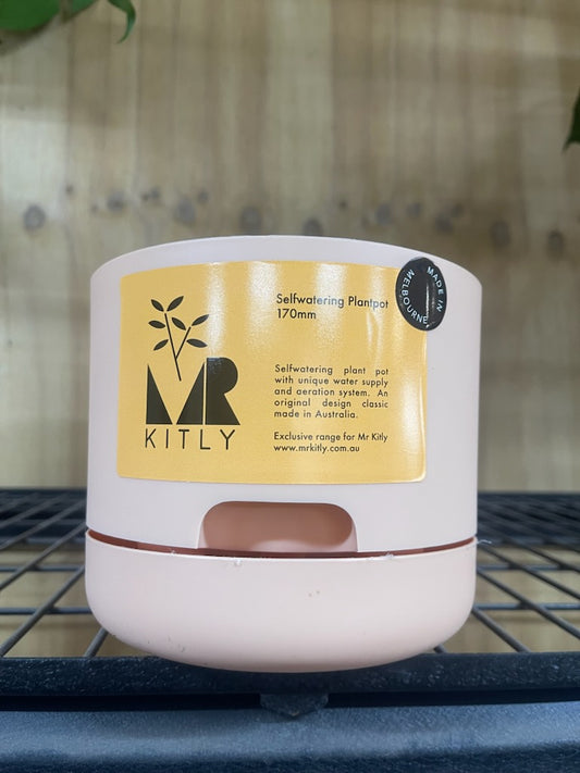 MR KITLY SELFWATERING POT 170MM PALE APRICOT