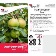 APPLE DWARF GRANNY SMITH BR