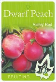 SUPER DWARF PEACH VALLEY RED BR