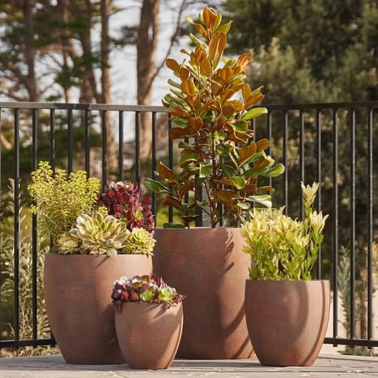 Montague Egg Pot Set - Rust