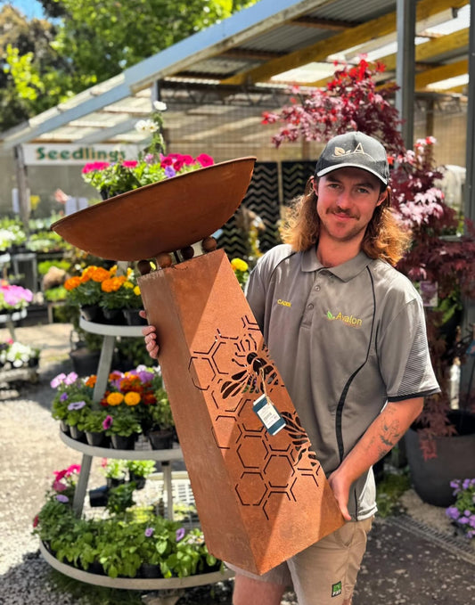 Rust Bird Bath - Bee