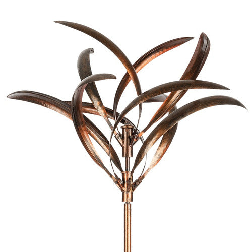 GREVILLEA WINDSPINNER BRONZE