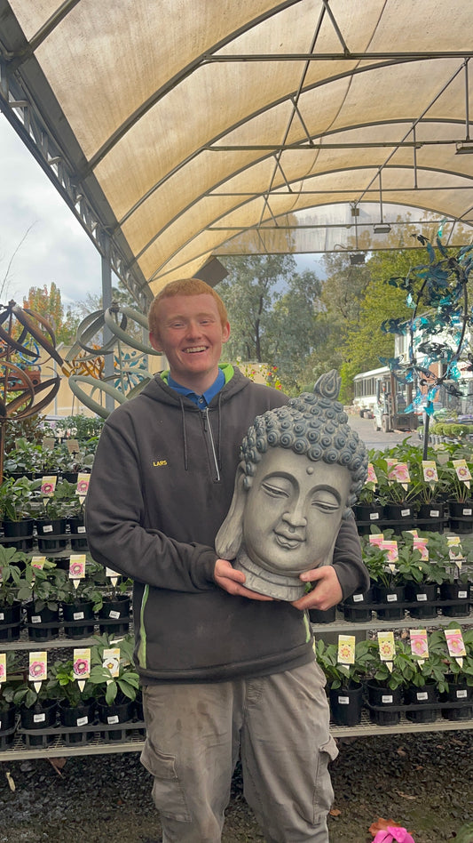 BUDDHA HEAD