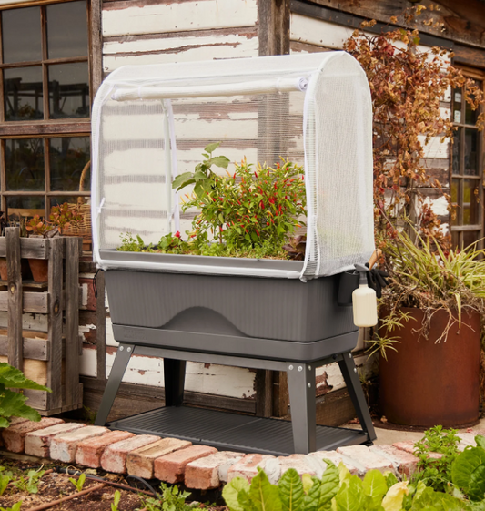GEORGIE BACKYARD FARMER RAISED GARDEN BED GREY