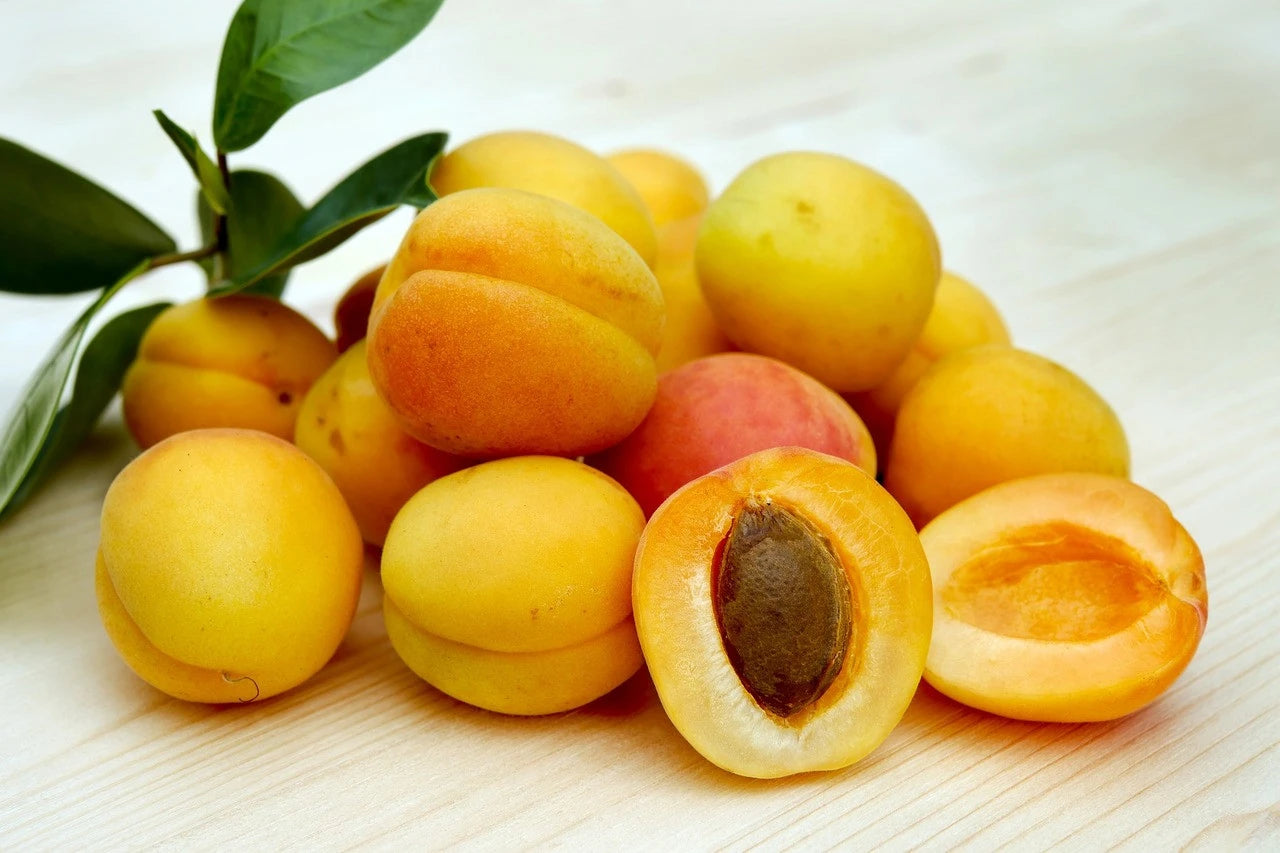 APRICOT STOREYS EARLY MOORPARK BR