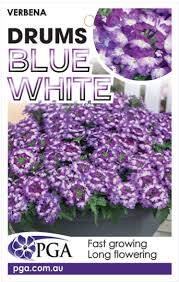 VERBENA DRUMS BLUE AND WHITE 140MM
