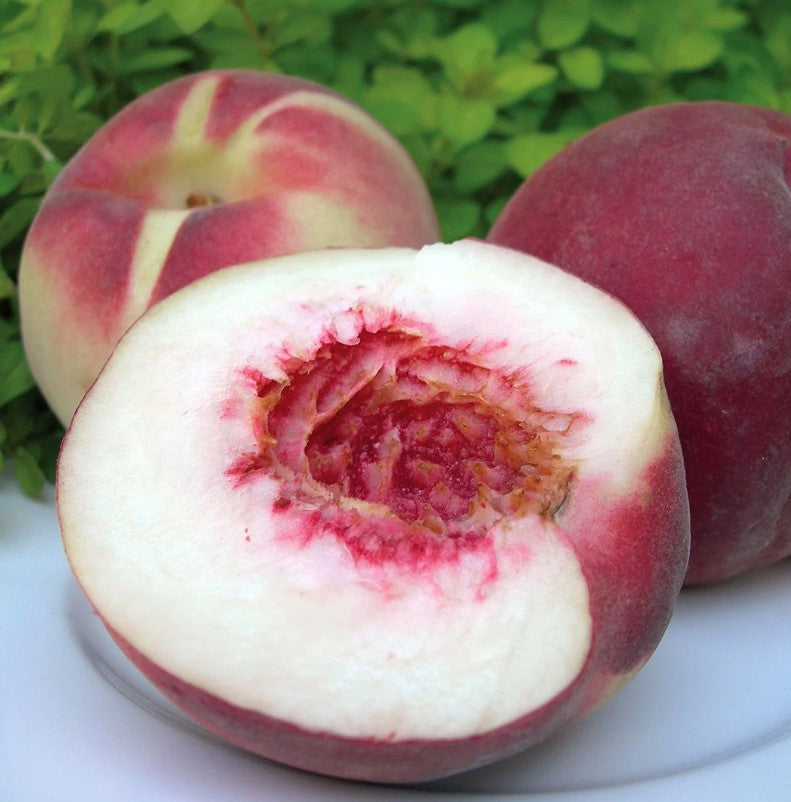 PEACH ANZAC BR
