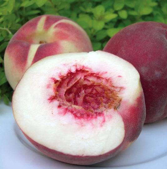 PEACH ANZAC BR