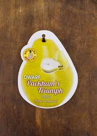 DWARF PEAR PACKHAMS TRIUMPH BR