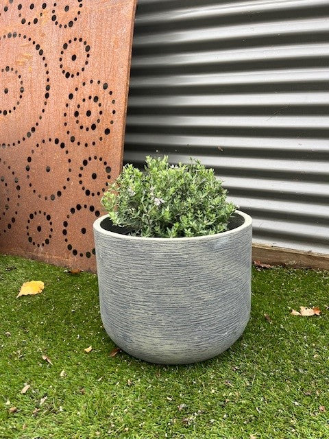 RHAPSODY CYLINDER XLARGE