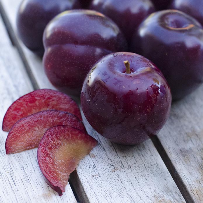 PLUM SANTA ROSA BR
