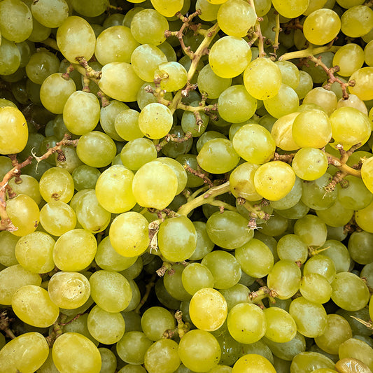 BR GRAPE MALTA SEEDLESS